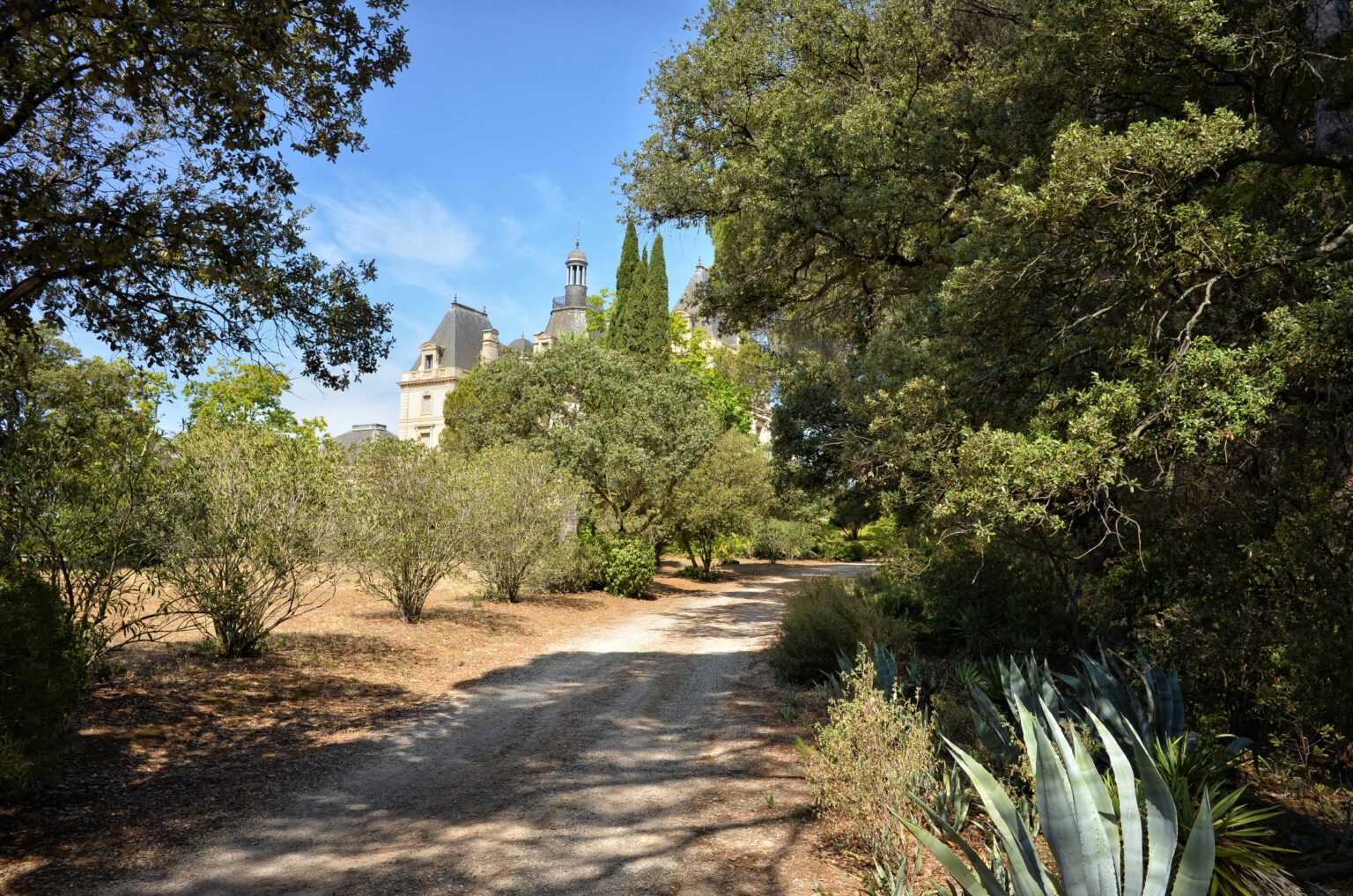 Le parc du château pour votre mariage